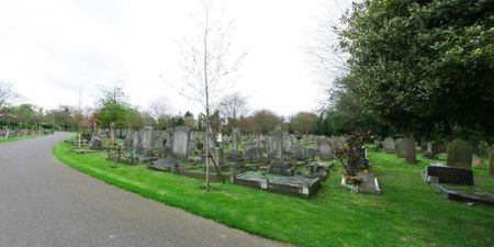 Young man shot dead in north London cemetery