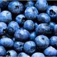 Why blueberries should be your new pre-workout