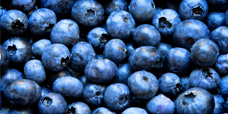 Why blueberries should be your new pre-workout