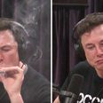 An intensive analysis of Elon Musk smoking a joint