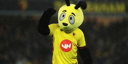 The man behind Harry the Hornet has resigned