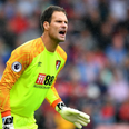 Asmir Begovic thinks Bournemouth’s front three are as good as Liverpool’s attack