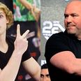 Dana White “should be arrested” if he signs Logan Paul to UFC deal