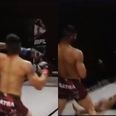MMA fighter immediately disqualified following brutal knockout for remarkable dick move