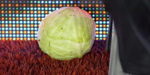 Steve Bruce had a cabbage thrown at him during Aston Villa vs Preston