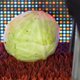 Steve Bruce had a cabbage thrown at him during Aston Villa vs Preston