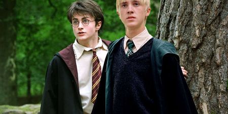 Harry Potter and Draco Malfoy reunite in New York seven years on