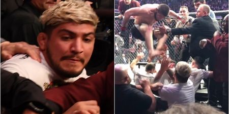 Dillon Danis had a ballsy reaction to Khabib’s crowd lunge at him and rest of McGregor’s team