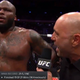 Derrick Lewis gave one of the most epic post-match interviews in sporting history at UFC 229