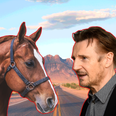 Exclusive interview with the horse that remembered Liam Neeson