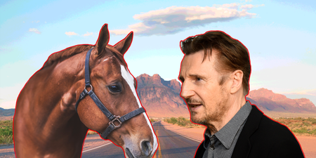 Exclusive interview with the horse that remembered Liam Neeson