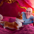 ‘The Queen’s Corgi’ trailer gives an insight into the future of Buckingham Palace