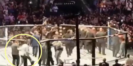 Irish fan rushed into Octagon at UFC 229 in attempt to protect Conor McGregor