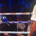 Crowd trouble mars incredible title bout on Frank Warren card in Essex