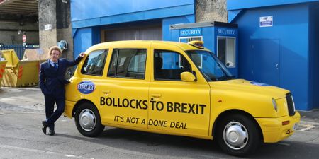 ‘Millionaire plumber’ pays driver to ride around London in ‘Bollocks To Brexit’ taxi cab