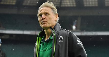 Vern Cotter believes Joe Schmidt may well be the man to take over the All Blacks job