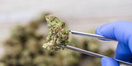Medicinal cannabis is now legal on prescription