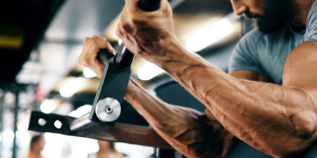 Build bigger forearms with these three key exercises