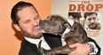 Tom Hardy has been awarded a CBE by Prince Charles