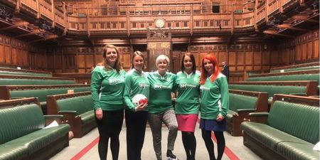 MPs reprimanded for having a kickabout in the House of Commons
