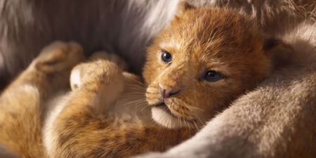 People aren’t happy that the new Lion King is being called ‘live action’ – this is why