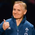 Joe Schmidt to leave Ireland role next year, will be replaced by Andy Farrell