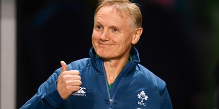 Joe Schmidt to leave Ireland role next year, will be replaced by Andy Farrell