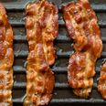 No, vegans are not trying to ban the phrase ‘bringing home the bacon’