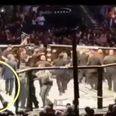 UFC issue indefinite ban to Conor McGregor fan who ran into Octagon at UFC 229