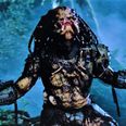 There is a Predator Christmas special coming next week