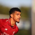 Dominic Solanke in line to become next England youngster to join a Bundesliga club