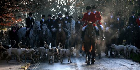 Labour announces plans to strengthen hunting ban