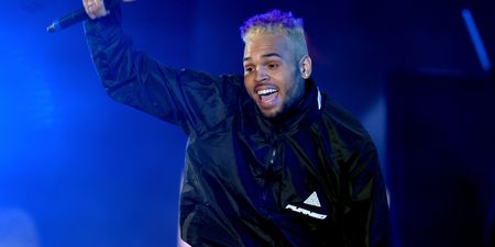 Chris Brown faces six months in prison after his pet monkey is seized