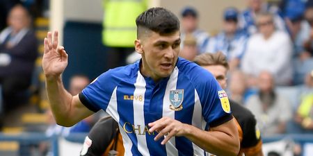 Arrest warrant issued for Sheffield Wednesday’s Fernando Forestieri