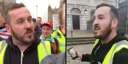 Police investigate ‘Yellow Vest’ protests after footage shows harassment outside Parliament