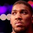 Anthony Joshua could fight another American amid ‘radio silence’ from Wilder