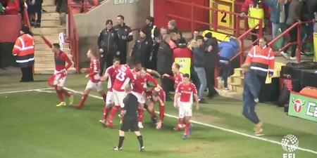 Charlton fan crunches own player during wild goal celebrations