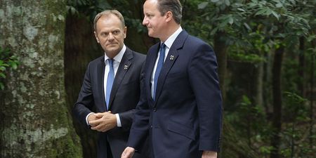 David Cameron never really believed he’d have to hold a Brexit referendum, says Donald Tusk