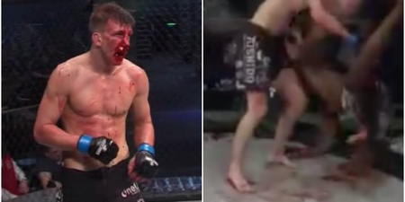 Shattered nose causes fighters to slip on blood in gruesome title fight