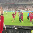 UAE fans throw shoes at celebrating Qatar players during Asian Cup semi-final