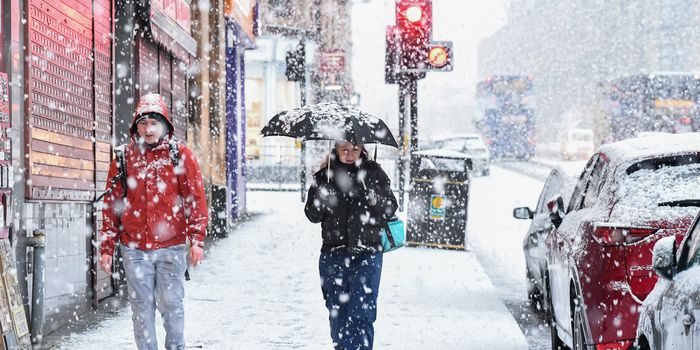 GLASGOW, SCOTLAND - JANUARY 22: Members of the public make their way through a snow shower in the West End on January 22, 2019 in Glasgow, Scotland. The Met Office has issued a yellow weather warning for snow and ice with large parts of the country likely to be affected by the drop in temperature. (Photo by Jeff J Mitchell/Getty Images)