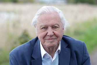 Sir David Attenborough to return with new BBC nature series One Planet, Seven Worlds