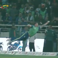 Watch Jason Roy pull off outrageous athletic catch in T20 match