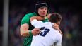 CJ Stander and Devin Toner emerge as injury worries for Ireland