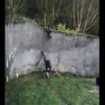 WATCH: Amazing footage of chimpanzees escaping their enclosure in Belfast Zoo