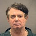 Trump campaign manager Paul Manafort jailed for fraud