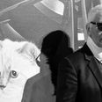 Karl Lagerfeld’s cat Choupette ‘to inherit’ his £150m fortune