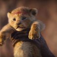 The Lion King remake confirmed for release this summer with awesome new trailer