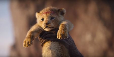 The Lion King remake confirmed for release this summer with awesome new trailer