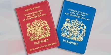 Poundland release blue and red passport covers